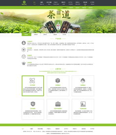 企业官网设计 以ZCOOL风格为灵感的创新实践