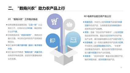 全国电子商务公共服务网 赋能数字经济的便民引擎