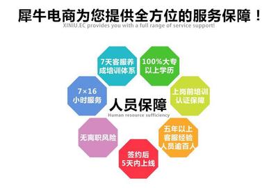 犀牛电商客服外包服务 赋能电子商务，驱动业绩增长